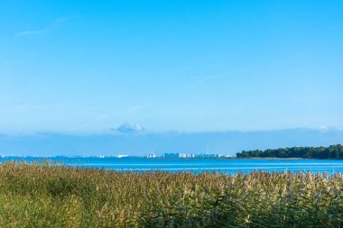 Finlandiya Körfezi manzarasına güneşli bir günde. 