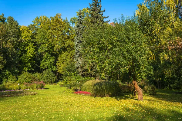 Beautiful autumn area in the Park of Peterhof. — Stock Photo, Image