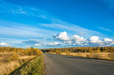 Sonbahar günü ıssız bir yolda. 