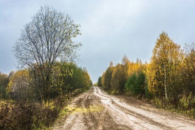 Toprak yol sonbahar günü içinde. 