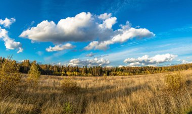güzel bir bulutlu sonbahar manzara. 