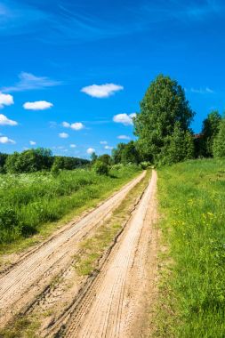 Yeşil çim arasında kumlu asfaltsız yol. 