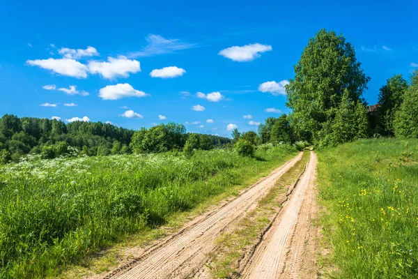 Camino arenoso sin pavimentar entre la hierba verde . — Foto de Stock