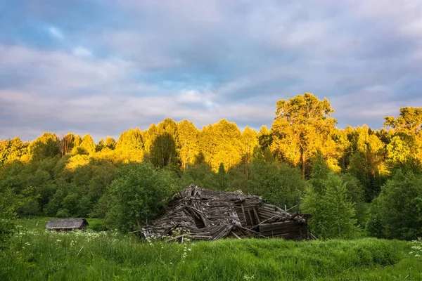 Заброшенное село Павлово Костромской области . — стоковое фото