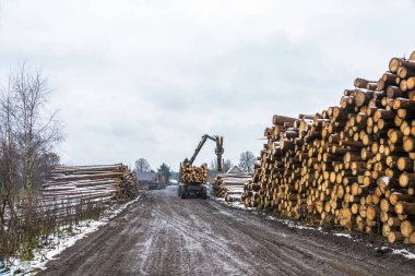 Kamyon, 18 Kasım 2017, köy Bushmanova, ahşap yükleme ben