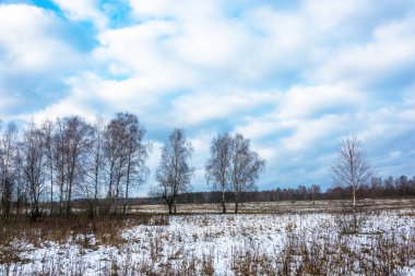Ağaç alanında, sonbahar yatay. 
