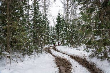 Karlı ormanda yürüyüş turist bir grup. 