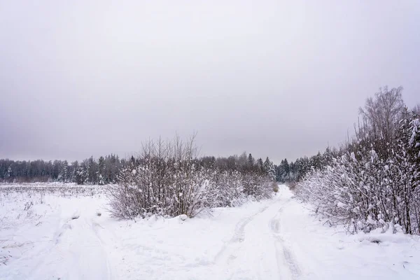 Waldstraße an einem Wintertag. — Stockfoto