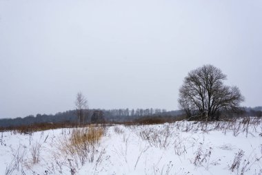 Bulutlu bir günde güzel kış manzarası. 