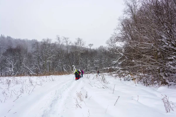 A small group of tourists goes through the winter forest. — Stock Photo, Image