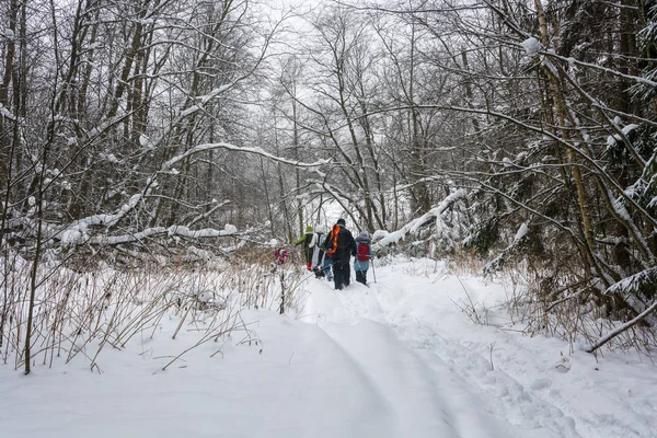 Небольшая группа туристов проходит через зимний лес . — стоковое фото