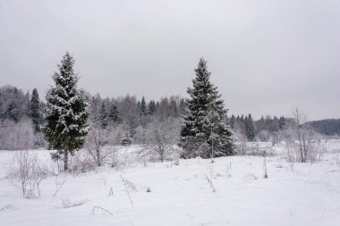 Rusya'nın orta kısmı bir güzel kış manzara. 