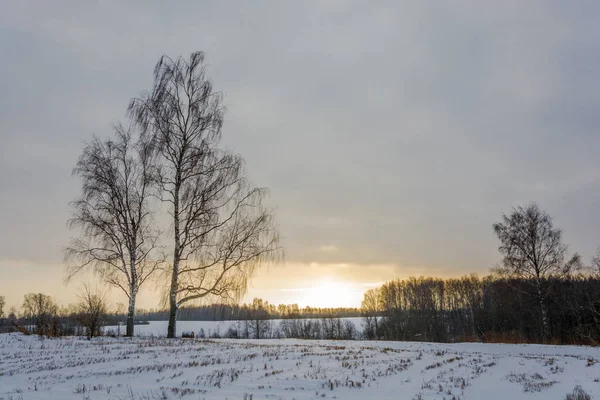 夕日の光線の冬の風景. — ストック写真