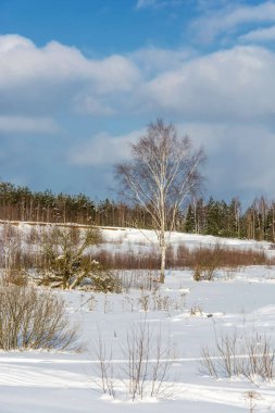 Güneşli bir soğuk günde güzel bir kış manzara. 