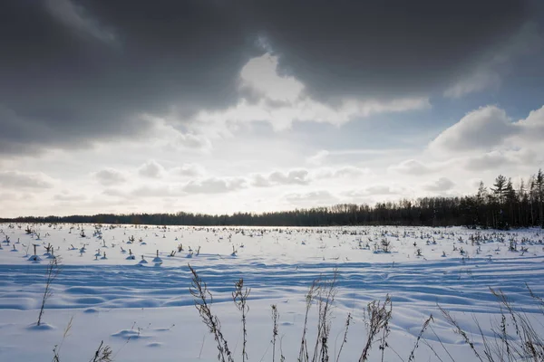Uma bela paisagem de inverno em um dia gelado ensolarado . — Fotografia de Stock