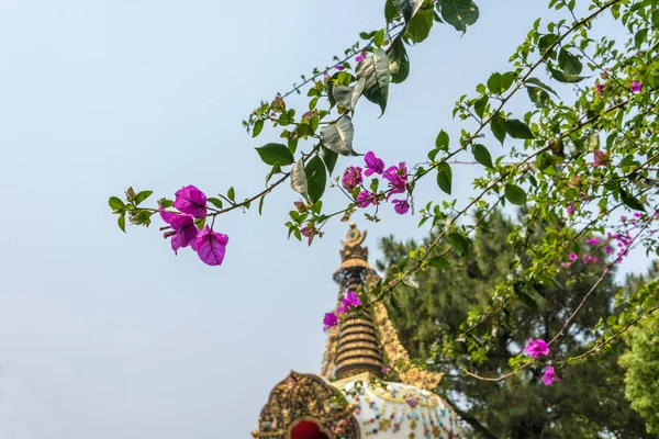 Albero fiorito nel parco del monastero Kopan, Kathmandu, Ne — Foto Stock