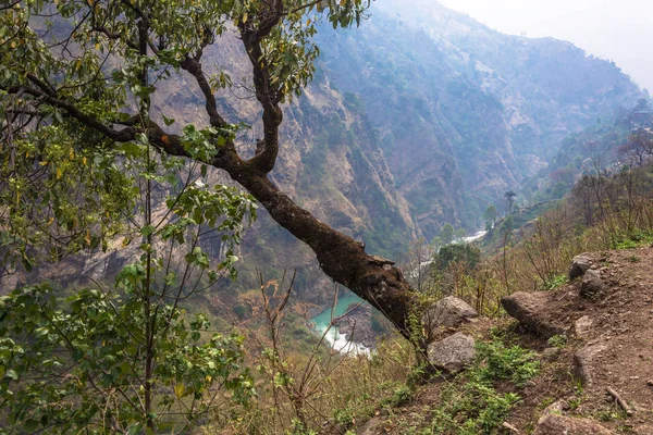 Hermoso Paisaje Montaña Con Árboles Primer Plano Himalaya Nepal — Foto de Stock