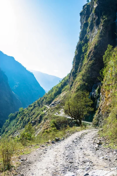 Polnej Drodze Górski Himalajach Wiosenny Dzień Nepal — Zdjęcie stockowe