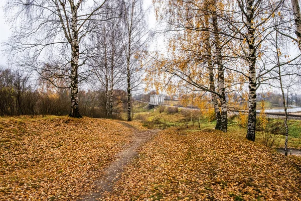 Sonbahar yapraklarından sarı-turuncu bir halı ve brili bir demiryolu.