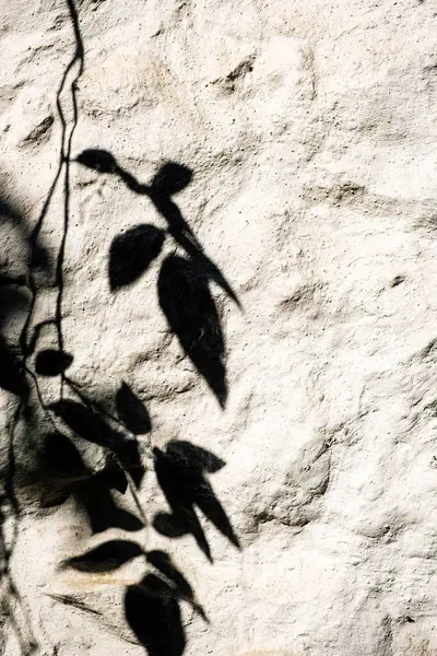 Противоположная темная тень на белом фоне каменной стены . — стоковое фото