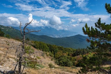 Alçak çamlı Ai-Petri dağından manzara, dağ çınladı.