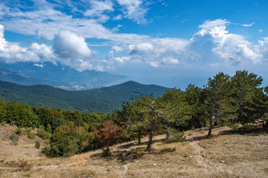 Alçak çamlı Ai-Petri dağından manzara, dağ çınladı.