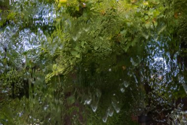 Parlak bulanık çok renkli noktaların soyut arkaplanı