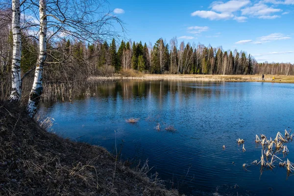 Liten Skogssjö Som Reflekterar Blå Himmel Med Vita Moln Vårdag — Stockfoto