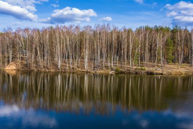 Ağaç gövdeleri ve nehirdeki yansımaları ve bir bahar günü bulutlu güzel bir gökyüzü.. 