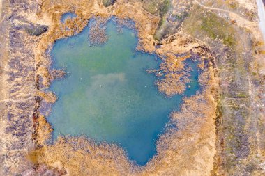 Geçen yılın sarı-turuncu otlarıyla çevrili beyaz martıları olan küçük bir göl.. 