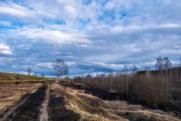 イヴァノヴォの郊外には 昨年多くの草が焼け 美しい曇り空がありました — ストック写真