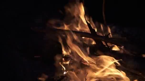 Red Orange Flames Burning Fire — Stock Video