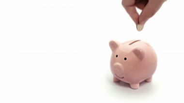 pembe kumbara izole üzerinde tasarruf. Beyaz arka plan üzerinde domuz bebek bankaya para koyarak ver. VDO 4k, fhd, tam hd 1080 kopya alan arka plan metin ve başlık tasarımı için.