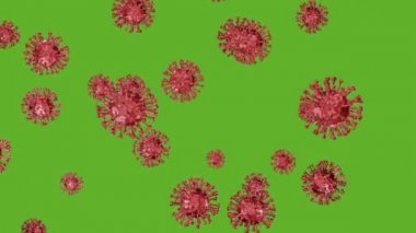 Coronavirus COVID-19 sağlık, enfeksiyon ve tıbbi konsept altında mikroskop altında. Corona virüsünün uçuşu ya da hareketi, arka planda yeşil ekranda grip virüsü. Çin virüsü bakteri hücreleri 4k VDO, 3D animasyon