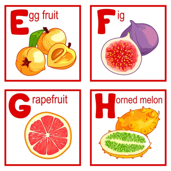 Een alfabet met schattige vruchten. — Stockvector