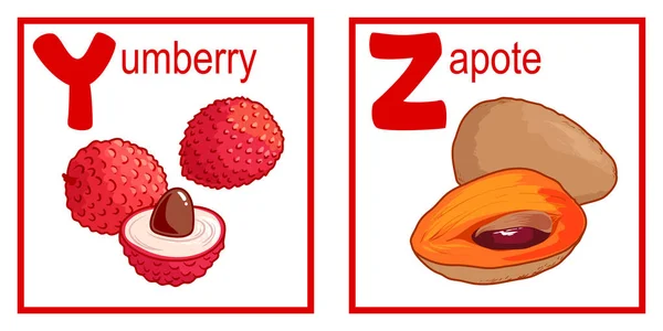 Aranyos gyümölcsökkel ABC betűk Y-z-ig. — Stock Vector