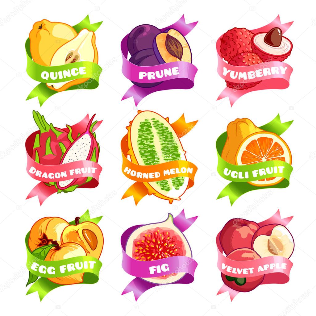 Nine stickers with ribbon and different fruits. Quince, prune, yamberry, pitaya, horned melon, ugli fruit, egg fruit, fig, and velvet apple. Vector illustration isolated on a white background.