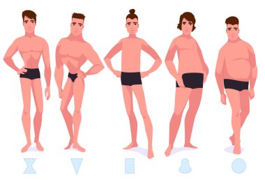 Set of male body shape types - five types. clipart