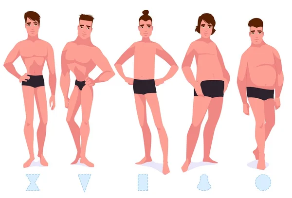 Set of male body shape types - five types. — Stock Vector