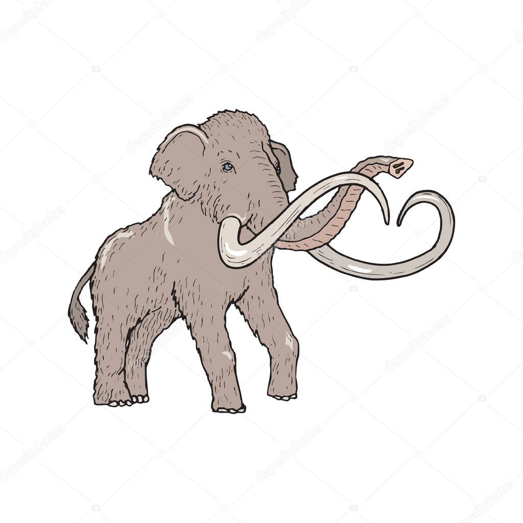 Mammoth icon in cartoon style isolated on white background.
