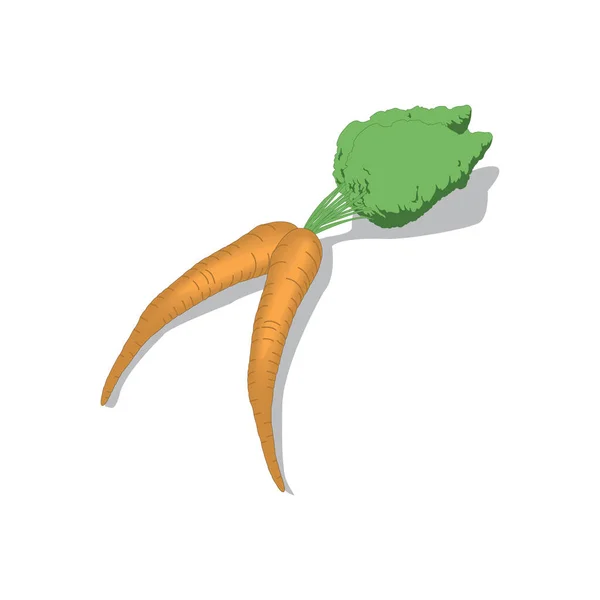 Ilustración vectorial de zanahorias aislada en un bacground blanco en EPS10 — Archivo Imágenes Vectoriales