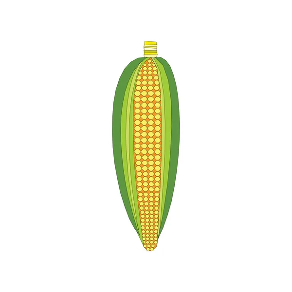 Ilustración vectorial de mazorca de maíz aislada sobre fondo blanco en EPS10 — Archivo Imágenes Vectoriales