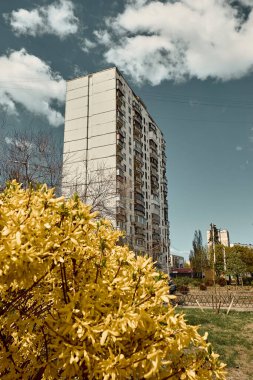 Birçok penceresi olan bir binanın arka planında çiçek açan ağaç.