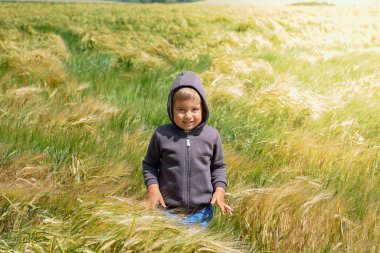 Güneşli bir tatil gününde bir çocuk buğday tarlasında gülümser..