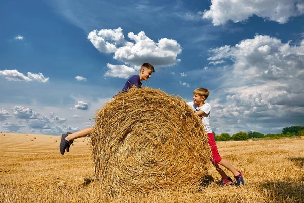 Two Brothers Fooling Laughing Children Day Nature Rural Children Stubble — Stock Photo, Image