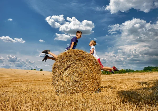 Zwei Brüder Albern Herum Und Lachen Kindertag Der Natur Landkinder — Stockfoto