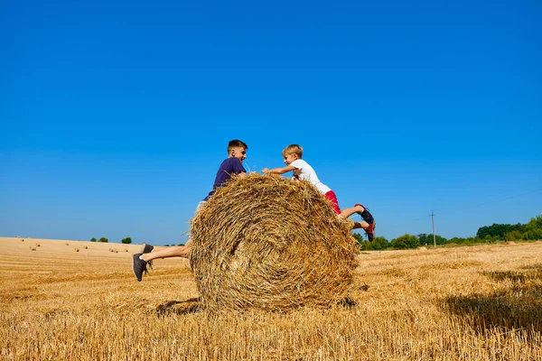Подростки Шортах Футболках Прыгают Стоге Сена Пшеничное Сено Сельскохозяйственном Поле — стоковое фото
