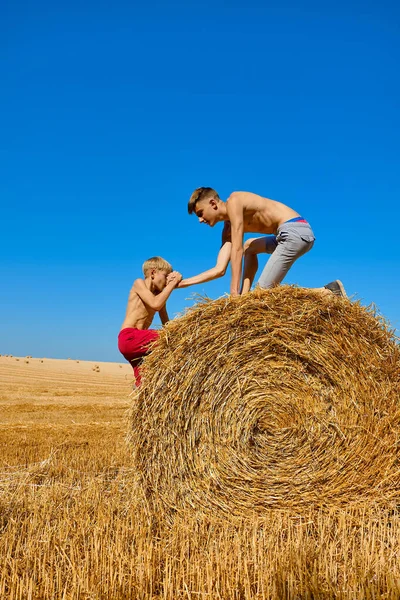 Wheat Hay Agricultural Field Two Brothers Fooling Laughing Children Day — Stock Photo, Image