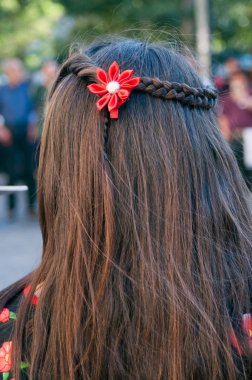 Santiago Del Şili, Şili - 16 Aralık 2018 - Arkadan kızıl çiçekli kahverengi saçlı kız