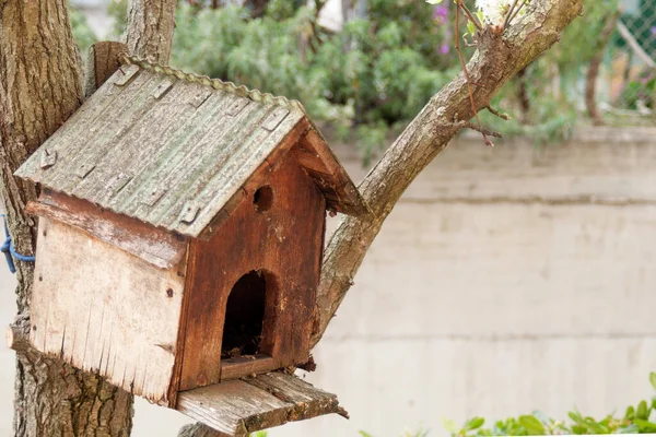 Bahçedeki ağaçta el yapımı eski bir kuş evine yakın plan.